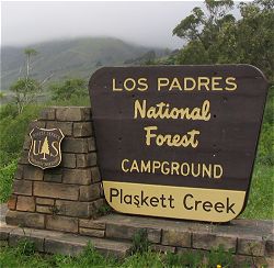 Highway 1 at Plaskett Creek Campground