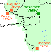 map locating the three groves of giant sequoias within Yosemite National Park