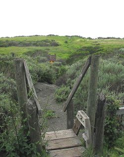 Coastal access at Jade Cove