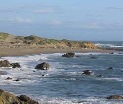 Elephant seals seen from the North Vista Point, Point Piedras Blancas