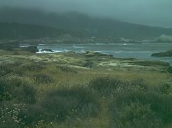 Coastal scene, Point Lobos State Reserve
