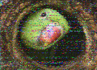 Shortwave Radiogram image