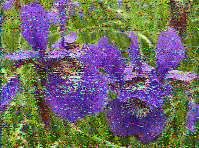 Shortwave Radiogram image