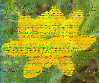 Shortwave Radiogram image