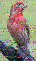 Shortwave Radiogram image