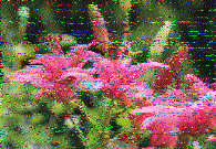 Shortwave Radiogram image