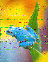 Shortwave Radiogram image