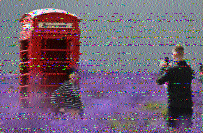 Shortwave Radiogram image