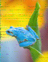 Shortwave Radiogram image