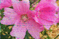 Shortwave Radiogram image