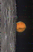 Shortwave Radiogram image