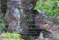 Shortwave Radiogram image