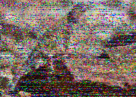 Shortwave Radiogram image