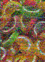 Shortwave Radiogram image