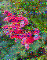 Shortwave Radiogram image