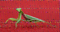 Shortwave Radiogram image