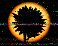 Shortwave Radiogram image