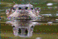 Shortwave Radiogram image