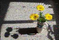 Shortwave Radiogram image