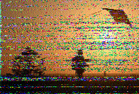 Shortwave Radiogram image