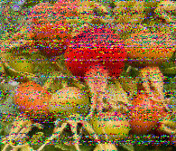 Shortwave Radiogram image