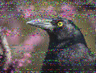 Shortwave Radiogram image