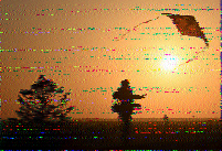 Shortwave Radiogram image