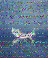 Shortwave Radiogram image