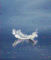 Shortwave Radiogram image