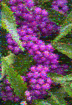 Shortwave Radiogram image