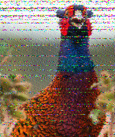 Shortwave Radiogram image