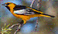 Shortwave Radiogram image