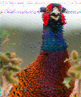 Shortwave Radiogram image