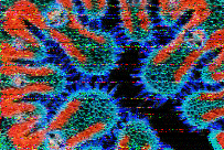 Shortwave Radiogram image