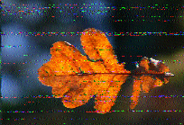 Shortwave Radiogram image