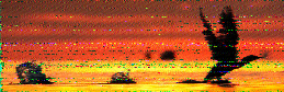 Shortwave Radiogram image