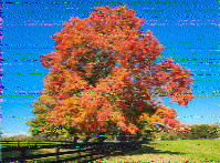 Shortwave Radiogram image