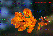 Shortwave Radiogram image