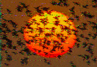 Shortwave Radiogram image