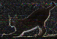 Shortwave Radiogram image