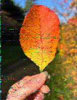 Shortwave Radiogram image