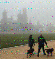 Shortwave Radiogram image