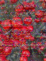 Shortwave Radiogram image