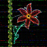 Shortwave Radiogram image