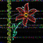 Shortwave Radiogram image