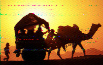 Shortwave Radiogram image