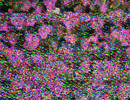 Shortwave Radiogram image