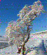 Shortwave Radiogram image