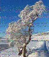 Shortwave Radiogram image