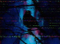 Shortwave Radiogram image